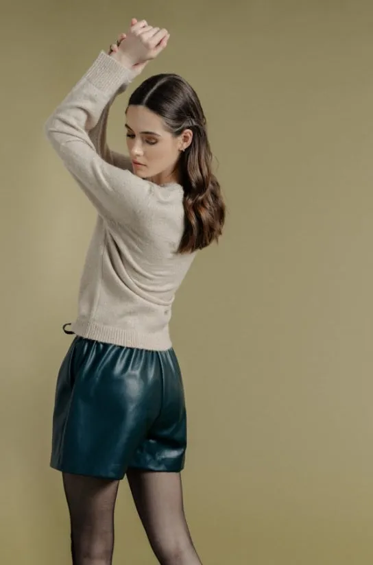 Phoenix Pleather Shorts